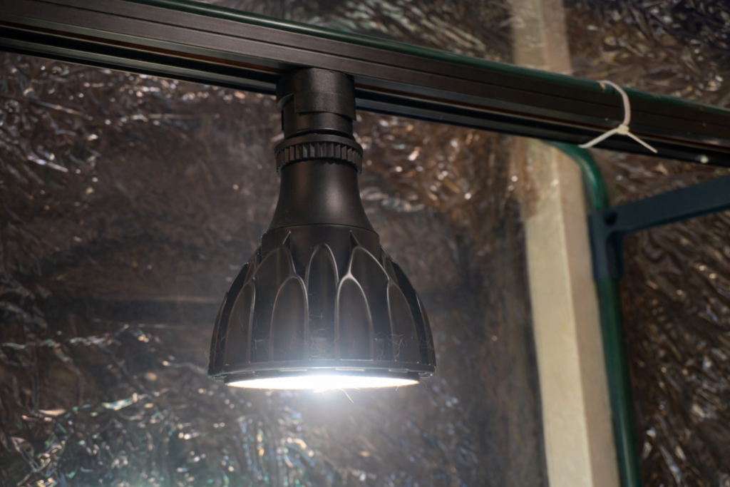 育成ライトの設置例